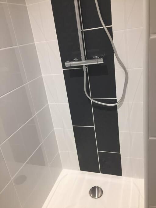 Apartament Magnifique T2 J Jaures Avec Garage Saint-Etienne  Zewnętrze zdjęcie